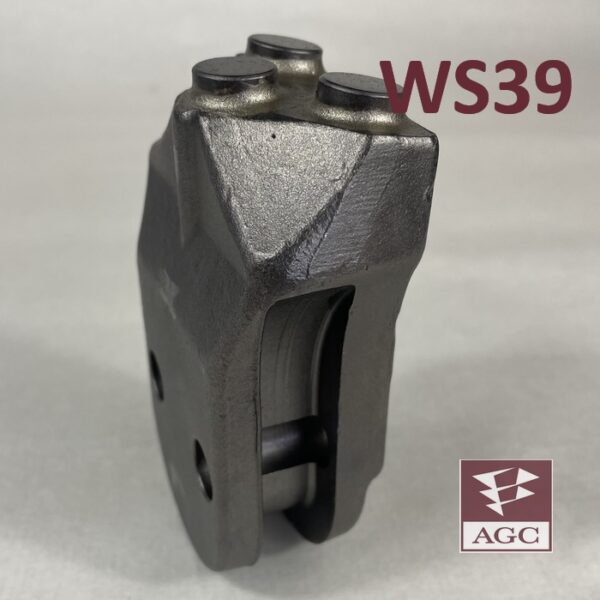 WS39-tooth-1