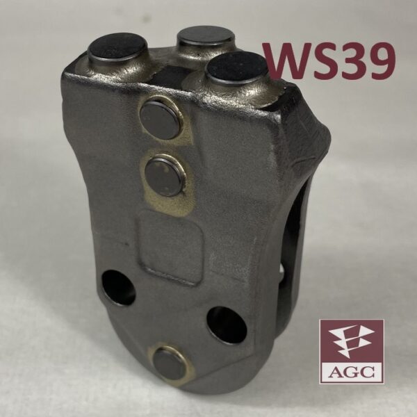WS39-tooth-2