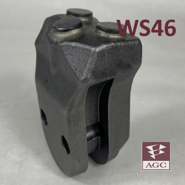 WS46-tooth-1
